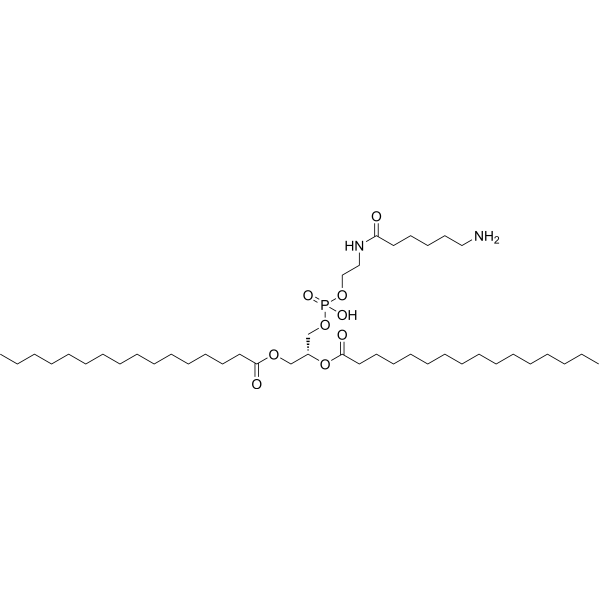 16:0 Caproylamine PE 115288-21-6